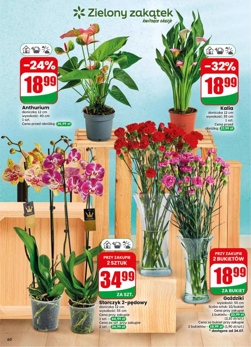Gazetka promocyjna Dino - Gazetka 30 / 2026 - ważna 22.07 do 28.07.2026 - strona 60 - produkty: Bukiet, Sok, Storczyk