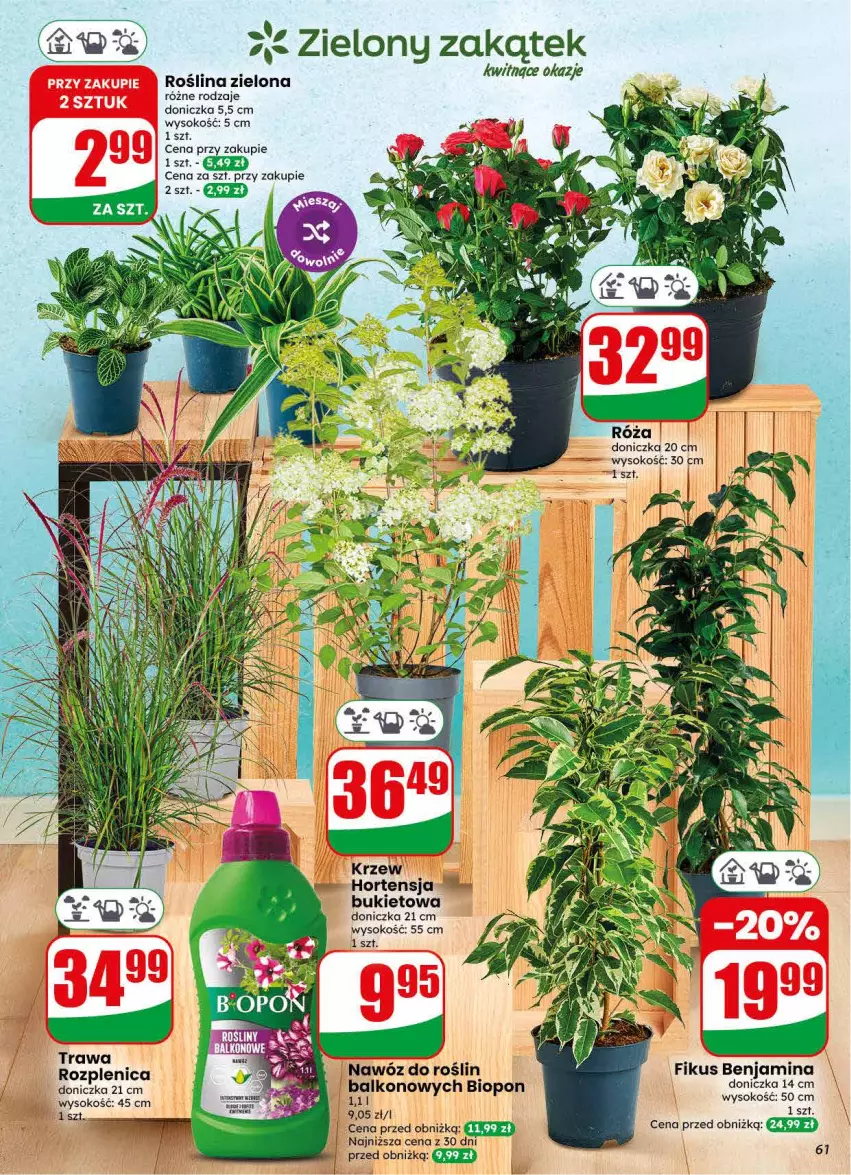 Gazetka promocyjna Dino - Gazetka 30 / 2026 - ważna 22.07 do 28.07.2026 - strona 61 - produkty: Bukiet, Nawóz, Sok