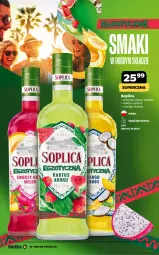 Gazetka promocyjna Netto - Netto_MK_06/25 - Gazetka - ważna od 30.06 do 30.06.2025 - strona 18 - produkty: Kaktus, Soplica, Arbuz, Mango, Napój, Melon, Kokos