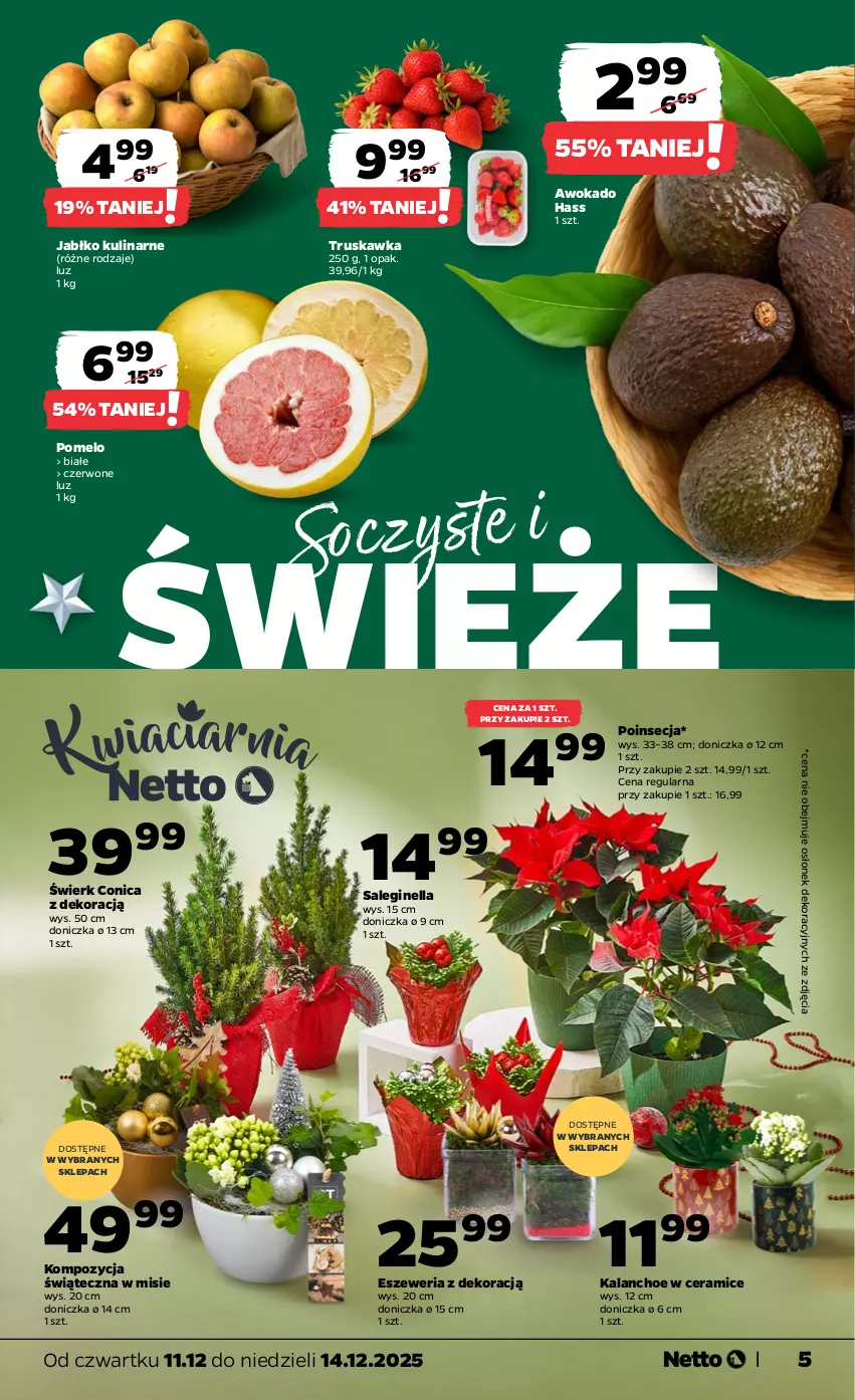 Gazetka promocyjna Netto - Od Czwartku - ważna 11.12 do 14.12.2025 - strona 5 - produkty: Gin, Kalanchoe, Poinsecja, Pomelo