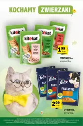 Gazetka promocyjna ABC - Gazetka - ważna od 16.04 do 16.04.2024 - strona 37 - produkty: Warzywa, KiteKat, Owoce, Felix, Mięso