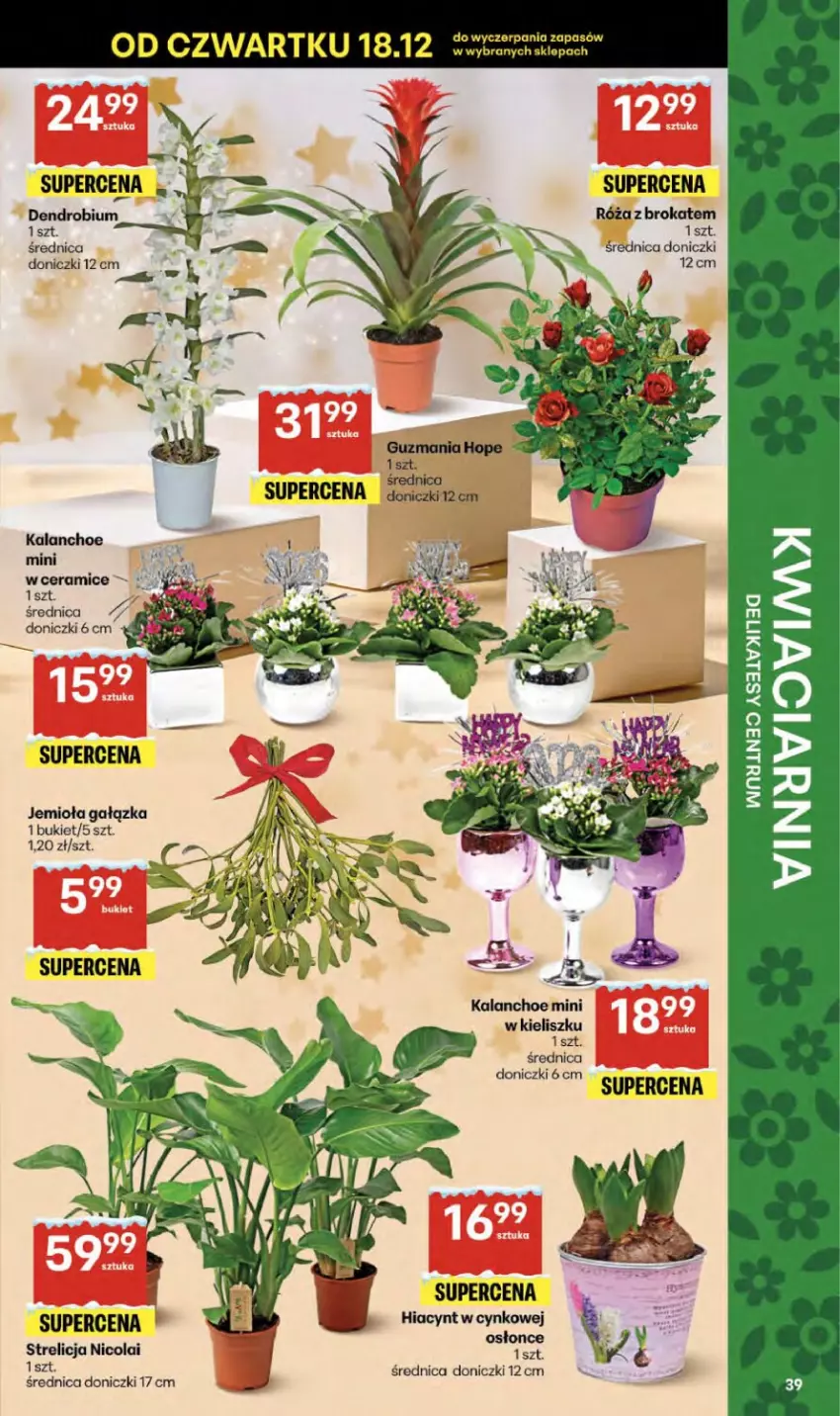 Gazetka promocyjna Delikatesy Centrum - Franczyza DC51 Czwartek - ważna 18.12 do 23.12.2025 - strona 39 - produkty: Bukiet, Cynk, Hiacynt, Kalanchoe, Róża