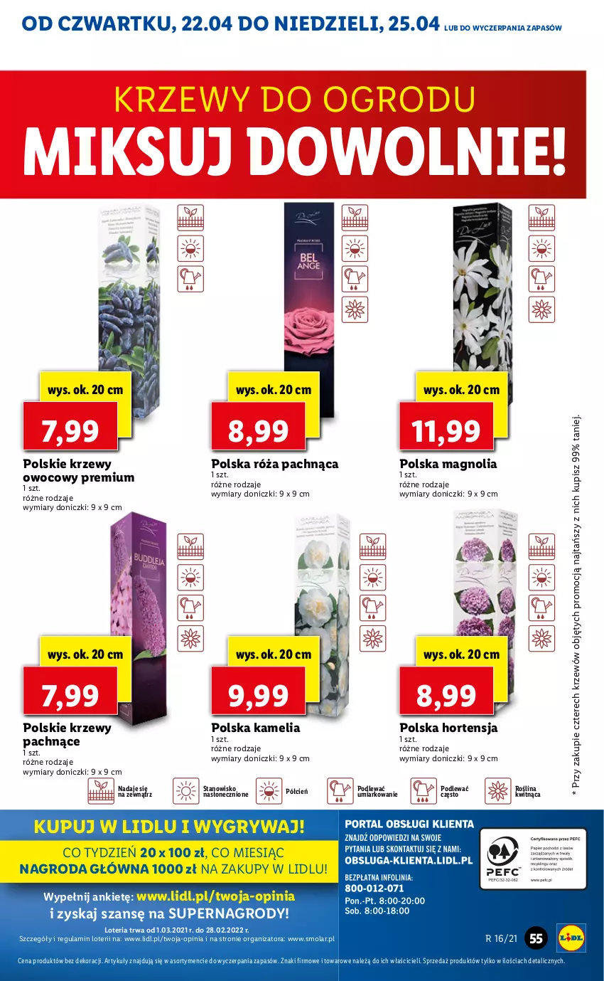 Gazetka promocyjna Lidl - GAZETKA - ważna 22.04 do 25.04.2021 - strona 55 - produkty: Cień, Gry, Mola, O nas, Róża