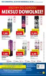 Gazetka promocyjna Lidl - GAZETKA - Gazetka - ważna od 25.04 do 25.04.2021 - strona 55 - produkty: Gry, Róża, Cień, O nas, Mola