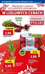 Gazetka promocyjna Lidl - GAZETKA - Gazetka - ważna od 25.04 do 25.04.2021 - strona 8 - produkty: Warzywa, Czosnek, Warzywa i owoce, Owoce, Jabłka