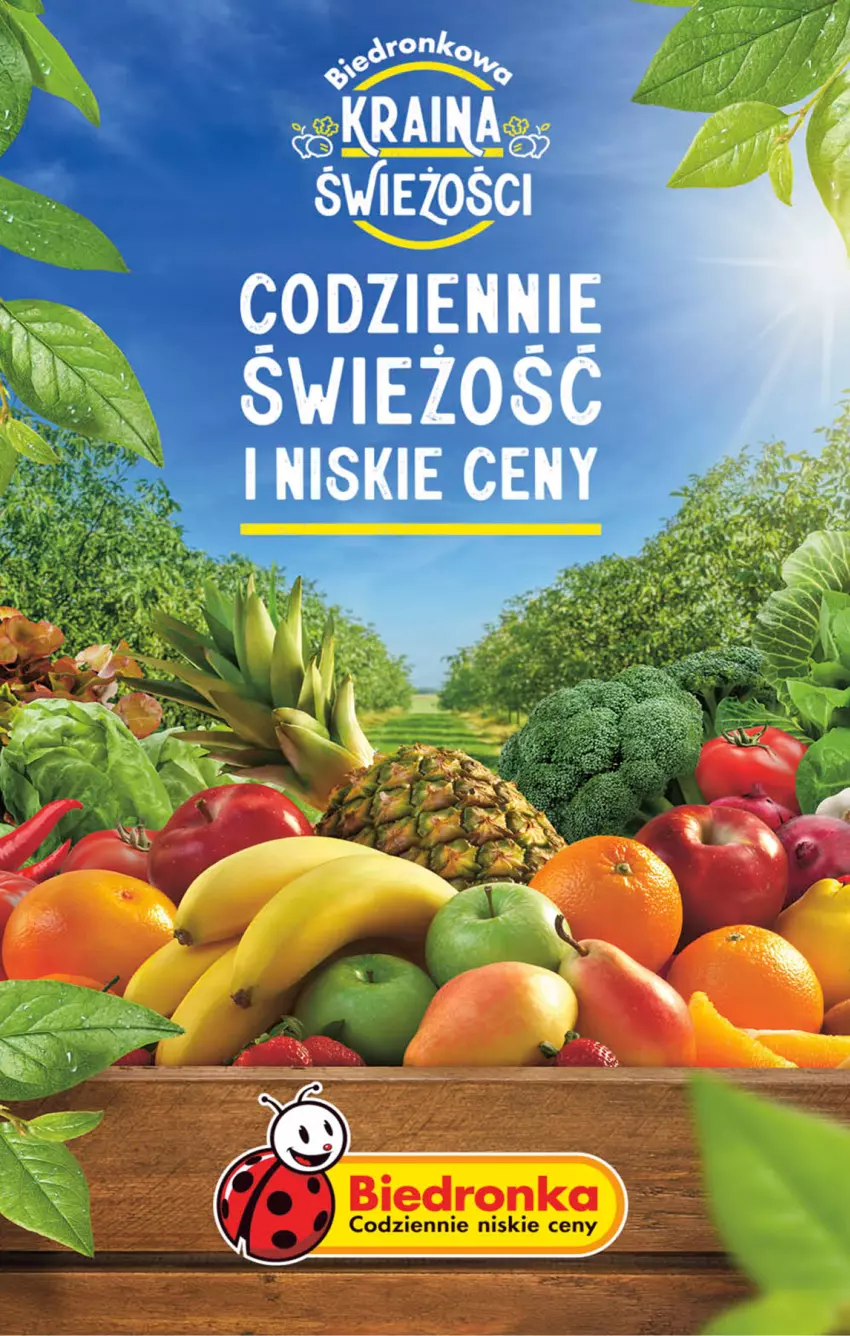 Gazetka promocyjna Biedronka - Od poniedzialku - ważna 26.06 do 01.07.2023 - strona 58