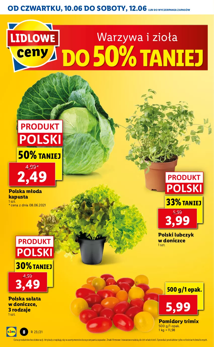Gazetka promocyjna Lidl - GAZETKA - ważna 10.06 do 12.06.2021 - strona 8 - produkty: Pomidory, Sałat, Warzywa