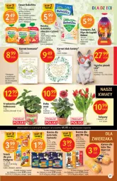 Gazetka promocyjna Delikatesy Centrum - Gazetka DC17 - Gazetka - ważna od 11.05 do 11.05.2022 - strona 27 - produkty: Kurczak, Płyn do kąpieli, Banany, Warzywa, Ser, Ryż, Tulipan, Morela, BoboVita, Królik, Szampon, Bukiet, Fanta, Owoce, Felix, Deser, Waga, Jabłka, Fa