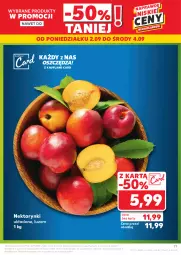 Gazetka promocyjna Kaufland - Gazetka tygodnia - Gazetka - ważna od 04.09 do 04.09.2024 - strona 77 - produkty: Nektar