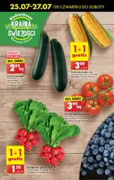 Gazetka promocyjna Biedronka - Od czwartku - Gazetka - ważna od 31.07 do 31.07.2024 - strona 16 - produkty: Kukurydza, Fa