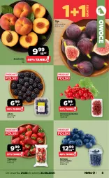 Gazetka promocyjna Netto - Od Czwartku - Gazetka - ważna od 23.08 do 23.08.2025 - strona 5 - produkty: Por, Gra, Borówka, Borówka amerykańska, Owoce