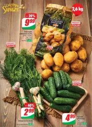 Gazetka promocyjna Dino - Gazetka 26 / 2024 - Gazetka - ważna od 02.07 do 02.07.2024 - strona 32 - produkty: Ogórek, Ziemniaki, Grunt