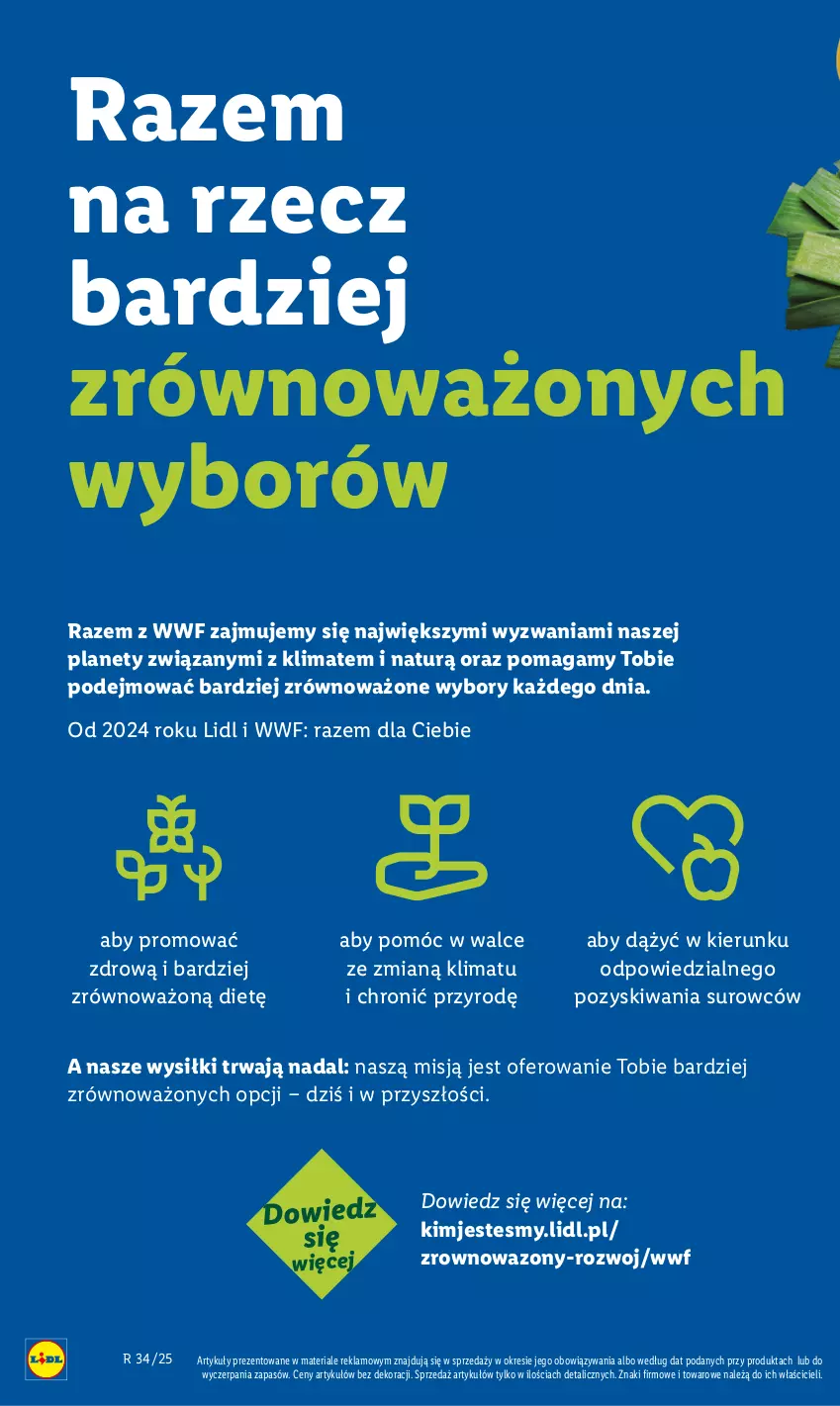 Gazetka promocyjna Lidl - GAZETKA - ważna 18.08 do 23.08.2025 - strona 52 - produkty: Wazon