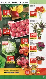 Gazetka promocyjna Delikatesy Centrum - NOWA GAZETKA Delikatesy Centrum od 6 czerwca! 6-12.06.2024 - Gazetka - ważna od 12.06 do 12.06.2024 - strona 20 - produkty: Kalafior, Rum, Gerber, Bukiet, Mango