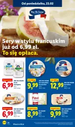 Gazetka promocyjna Lidl - Oferta ważna od 23.02 do 25.02 - Gazetka - ważna od 25.02 do 25.02.2026 - strona 24 - produkty: Ser, Serek, Serek twarogowy, Camembert