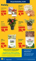 Gazetka promocyjna Lidl - Oferta ważna od 23.02 do 25.02 - Gazetka - ważna od 25.02 do 25.02.2026 - strona 56 - produkty: Cebula, Por, Gra, Kosz, Portal, Laur, Mola