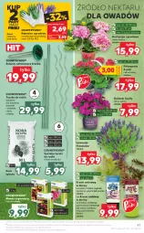 Gazetka promocyjna Kaufland - OFERTA TYGODNIA - Gazetka - ważna od 27.04 do 27.04.2021 - strona 47 - produkty: Sok, Por, Gra, Borówka, Kret, Rękawice, Aronia, Nawóz, Nektar
