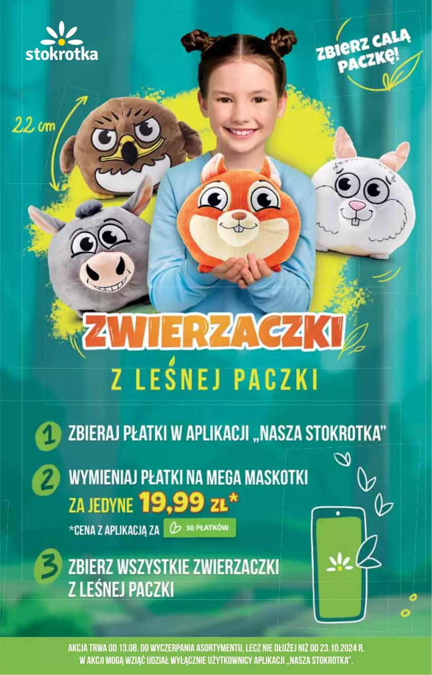 Gazetka promocyjna Stokrotka - Supermarket - ważna 19.09 do 25.09.2024 - strona 19