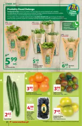 Gazetka promocyjna Auchan - Magia Świąt Supermarkety - Gazetka - ważna od 15.12 do 15.12.2021 - strona 2 - produkty: Piec, Sok, Gra, Pietruszka, Kolendra, Ogórek, Bazyl, Bazylia, Mięta