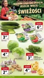 Gazetka promocyjna Intermarche - Gazetka - ważna od 27.11 do 27.11.2024 - strona 2 - produkty: Lunch box, Sałata lodowa, Ogórek, Czosnek, Sałat, Natka pietruszki, Imbir