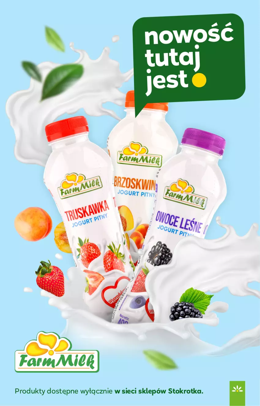 Gazetka promocyjna Stokrotka - Supermarket - ważna 13.08 do 20.08.2025 - strona 17