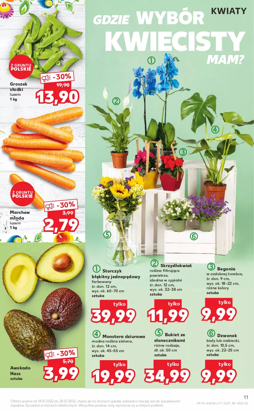 Gazetka promocyjna Kaufland - OFERTA TYGODNIA - ważna 14.07 do 20.07.2022 - strona 11 - produkty: Bukiet, Dzwonek, Fa, Groszek, Grunt, Storczyk, Tera