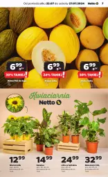 Gazetka promocyjna Netto - Od Poniedziałku - Gazetka - ważna od 27.07 do 27.07.2024 - strona 7 - produkty: Tera, Melon