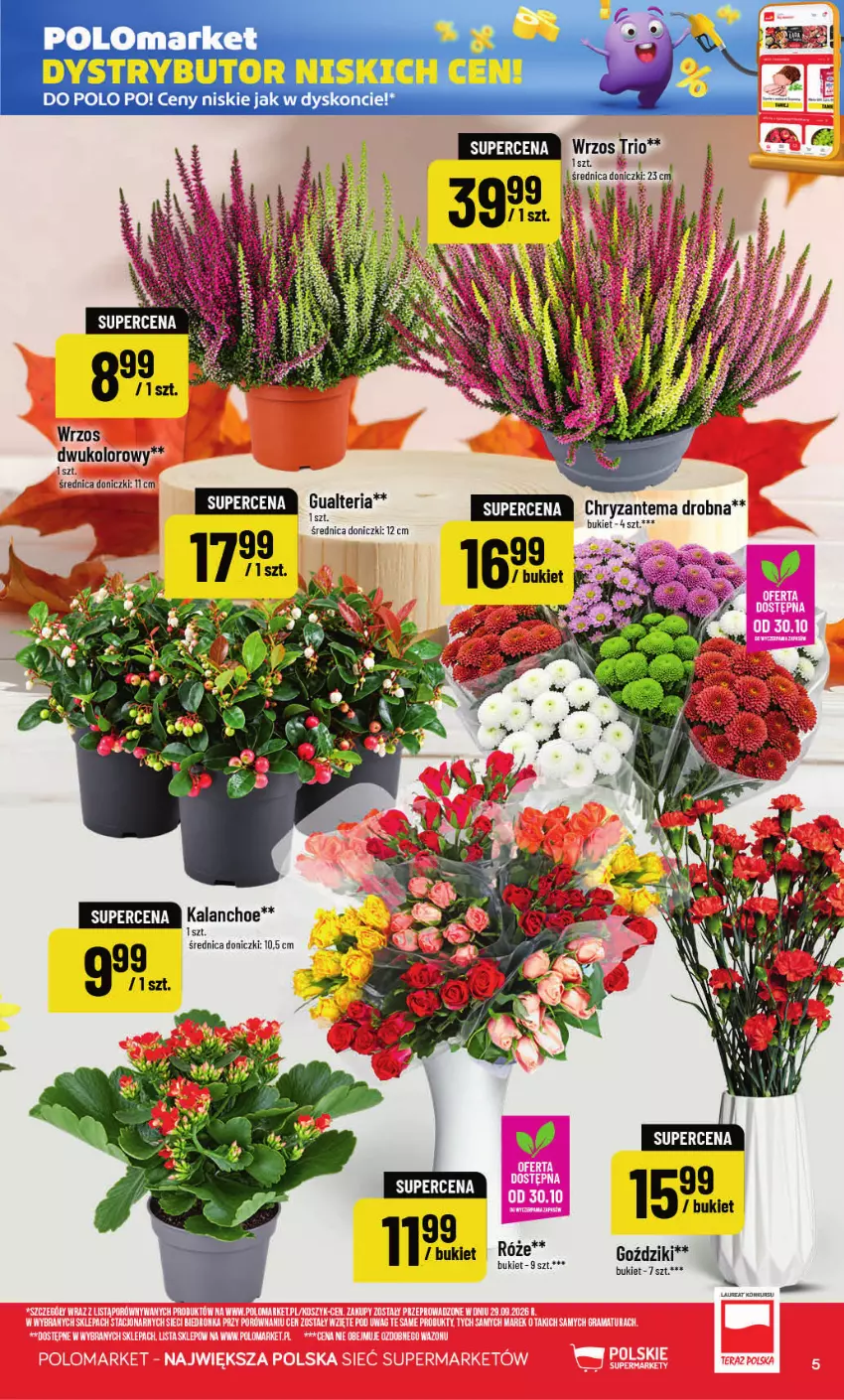 Gazetka promocyjna PoloMarket - Gazetka POLOmarket - ważna 28.10 do 03.11.2026 - strona 5 - produkty: Bukiet, Laur