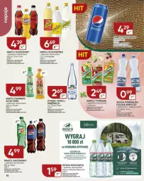 Gazetka promocyjna Chata Polska - Gazetka - ważna od 02.06 do 02.06.2024 - strona 8 - produkty: Koc, Gra, Coca-Cola, Pepsi, Aloe vera, Schweppes, Tymbark, Woda mineralna, Woda, Napój, Fa