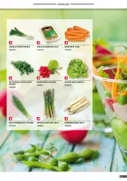 Gazetka promocyjna Selgros - Oferta gastronomiczna - Gazetka - ważna od 04.05 do 04.05.2022 - strona 9 - produkty: Cebula, Sałata masłowa, Pietruszka, Sałat, Kiełki, Masło, Rzodkiewka