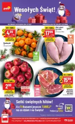 Gazetka promocyjna PoloMarket - Gazetka - ważna od 24.12 do 24.12.2024 - strona 1 - produkty: Mandarynki, Tera, Jabłka, LG