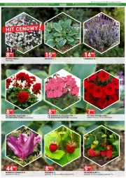 Gazetka promocyjna Merkury Market - Gazetka - ważna od 30.04 do 30.04.2025 - strona 64 - produkty: Chrzan, Sok