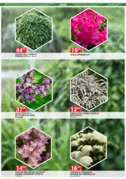 Gazetka promocyjna Merkury Market - Gazetka - ważna od 30.04 do 30.04.2025 - strona 65 - produkty: Chrzan, Bell, Stek, LG