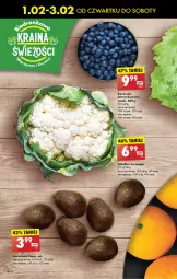 Gazetka promocyjna Biedronka - Od czwartku - Gazetka - ważna od 07.02 do 07.02.2024 - strona 20 - produkty: Kalafior, Borówka, Borówka amerykańska