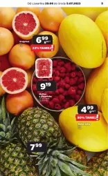 Gazetka promocyjna Netto - Artykuły spożywcze - Gazetka - ważna od 05.07 do 05.07.2023 - strona 5 - produkty: Ananas, Melon, Grejpfrut