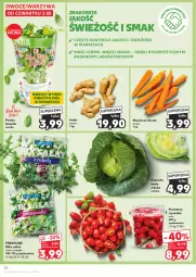 Gazetka promocyjna Kaufland - Gazetka tygodnia - Gazetka - ważna od 08.05 do 08.05.2024 - strona 26 - produkty: Warzywa, Sałat, Bazyl, Danio, Owoce, Bazylia, Grunt, Pomidory, Imbir