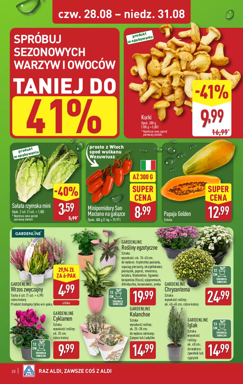 Gazetka promocyjna Aldi - Pełna oferta - ważna 25.08 do 31.08.2025 - strona 28 - produkty: Chia, Chryzantema, Cyklamen, Cyprysik, Kalanchoe, NBA, Papaja, Pomidory, Sałat, Sok, Tera