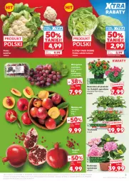 Gazetka promocyjna Kaufland - Gazetka tygodnia - Gazetka - ważna od 10.06 do 10.06.2026 - strona 5 - produkty: Kalafior, Gra, Sałata lodowa, Granat, Truskawki, Sałat, Winogrona, Wino, Nektar