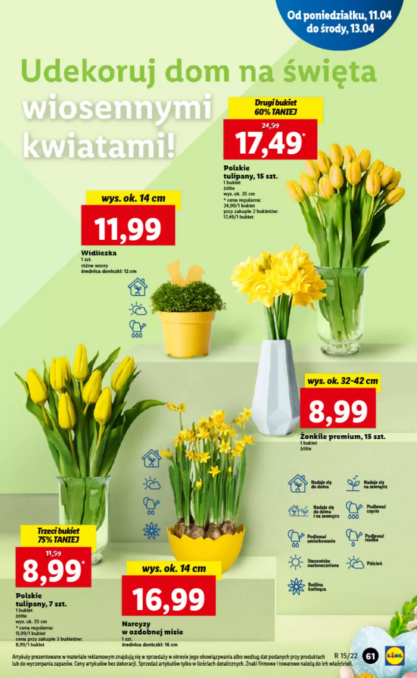 Gazetka promocyjna Lidl - GAZETKA - ważna 11.04 do 13.04.2022 - strona 61 - produkty: Bukiet, Narcyz, Tulipan