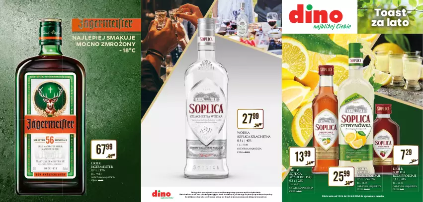 Gazetka promocyjna Dino - Katalog alkoholowy 19-25.06 - ważna 19.06 do 25.06.2023 - strona 1 - produkty: Likier, Soplica, Wódka