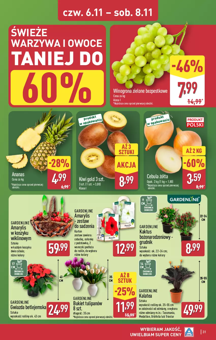 Gazetka promocyjna Aldi - Pełna oferta - ważna 03.11 do 08.11.2025 - strona 31 - produkty: Amarylis, Ananas, Bukiet, Cebula, Gwiazda, Kaktus, Kiwi, Kosz, Lion, Owoce, Sok, Tulipan, Warzywa, Warzywa i owoce, Wino, Winogrona