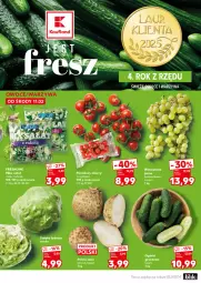 Gazetka promocyjna Kaufland - Mocny Start - Gazetka - ważna od 18.02 do 18.02.2026 - strona 10 - produkty: Warzywa, Sałata lodowa, Klej, Sałat, Winogrona, Wino, Grunt, Pomidory, Fa