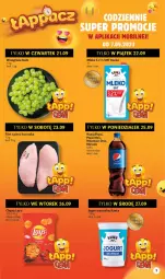 Gazetka promocyjna Delikatesy Centrum - Gazetka DC37 - Gazetka - ważna od 27.09 do 27.09.2023 - strona 3 - produkty: Kurczak, Jogurt naturalny, Pepsi max, Filet z piersi kurczaka, Jogurt, Chipsy, Mirinda, Pepsi, Winogrona, Wino, Napój, Mleko
