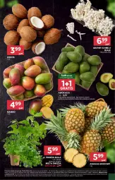 Gazetka promocyjna Stokrotka - Supermarket - Gazetka - ważna od 12.02 do 12.02.2025 - strona 18 - produkty: Warzywa, Por, Gra, Pietruszka, Grzyby, Kolendra, Ananas, Owoce, Mango, Mięta, Mięso, Kokos