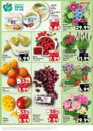 Gazetka promocyjna Kaufland - Gazetka - ważna od 24.04 do 24.04.2024 - strona 3 - produkty: Kurczak, Sałatka, Sałat, Gruszki, Winogrona, Wino, Mango, Fa