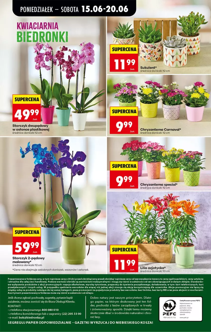 Gazetka promocyjna Biedronka - Od Poniedziałku - ważna 15.06 do 20.06.2026 - strona 87 - produkty: Chryzantema, Gra, Kosz, Napoje, Papier, Storczyk, Sukulent, Telefon, Wazon