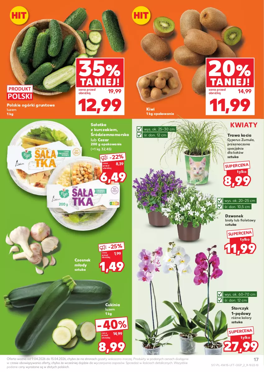 Gazetka promocyjna Kaufland - Gazetka tygodnia - ważna 09.04 do 15.04.2026 - strona 17 - produkty: Czosnek, Dzwonek, Grunt, Kiwi, Koc, Kurczak, Sałat, Sałatka, Storczyk