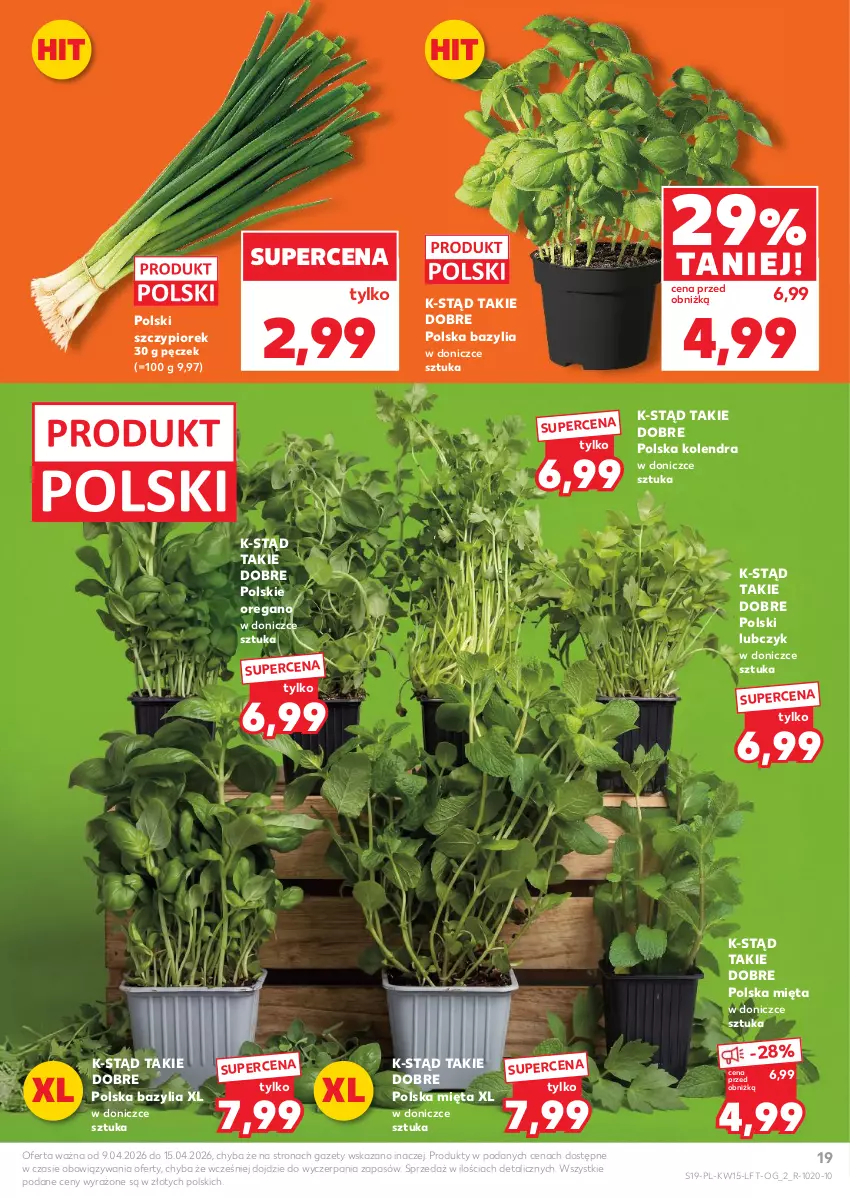 Gazetka promocyjna Kaufland - Gazetka tygodnia - ważna 09.04 do 15.04.2026 - strona 19 - produkty: Bazyl, Bazylia, Kolendra, Mięta