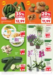 Gazetka promocyjna Kaufland - Gazetka tygodnia - Gazetka - ważna od 15.04 do 15.04.2026 - strona 17 - produkty: Kurczak, Sałatka, Koc, Dzwonek, Czosnek, Kiwi, Sałat, Storczyk, Grunt