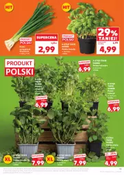 Gazetka promocyjna Kaufland - Gazetka tygodnia - Gazetka - ważna od 15.04 do 15.04.2026 - strona 19 - produkty: Kolendra, Bazyl, Bazylia, Mięta